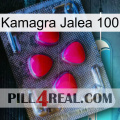 Kamagra Jelly 100 13